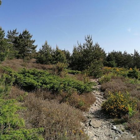 Gite Cote Nature Cabrerolles Εξωτερικό φωτογραφία
