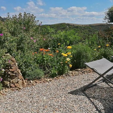 Gite Cote Nature Cabrerolles Εξωτερικό φωτογραφία