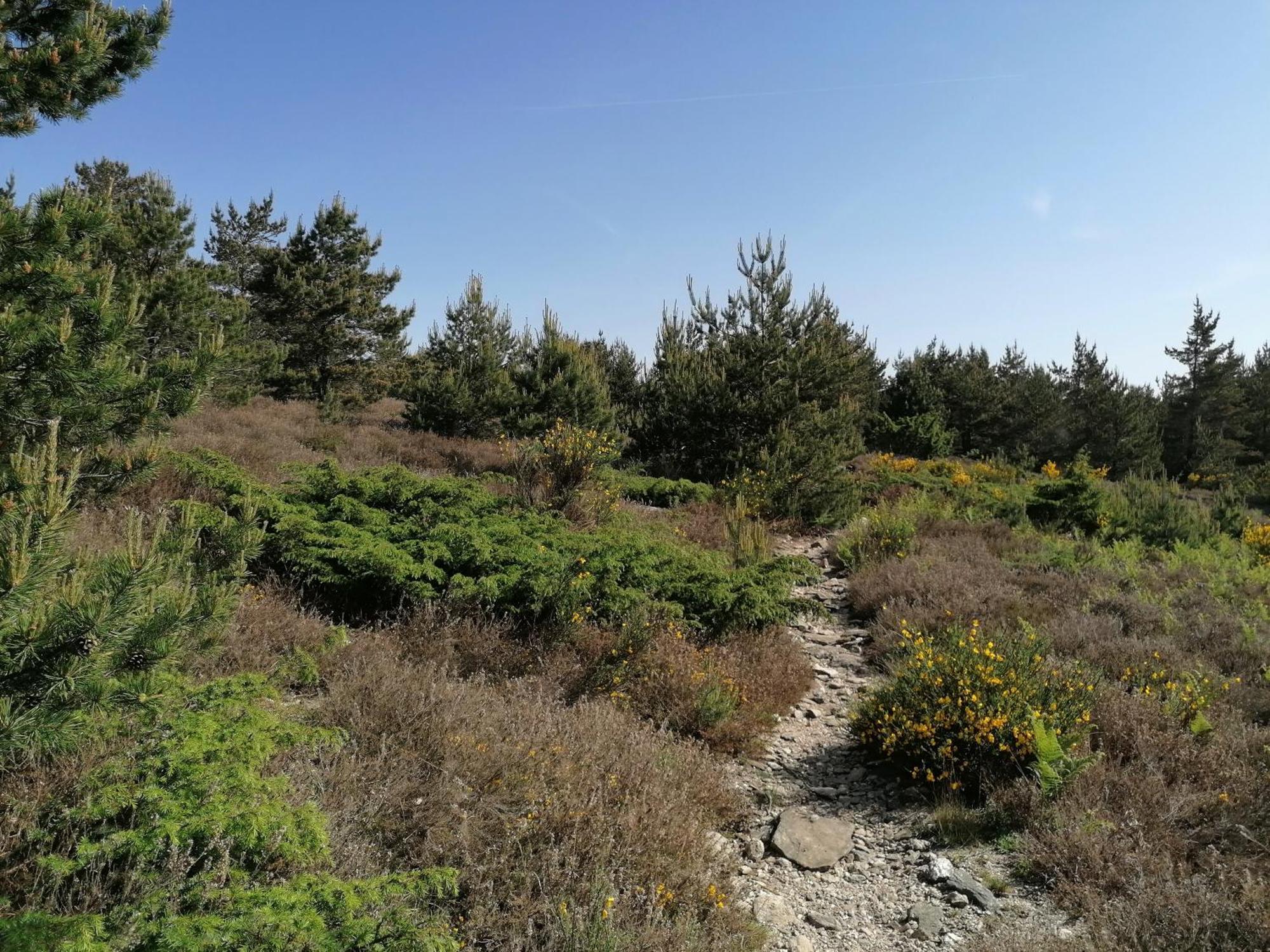 Gite Cote Nature Cabrerolles Εξωτερικό φωτογραφία